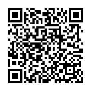 房间里所有人都眼睛眨也不眨地盯着雅文和小秋二维码生成