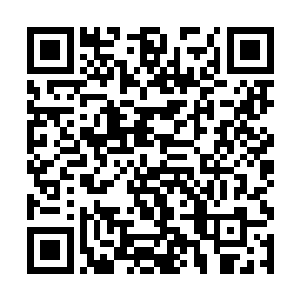 房间里的空气仿佛随着张潇晗的问话出现了一丝凝固二维码生成