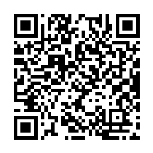 房间里面的东西渐渐的开始在我的面前清晰了起来二维码生成