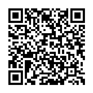 所为的就是让他刚刚送入奇美拉体内的那个黑影二维码生成