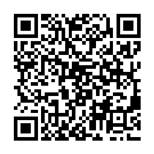 所以……一旦在导弹到达之前江少游就跳进海里的话二维码生成