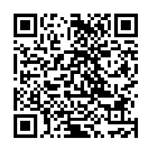 所以……所以……龙皇城中的气氛有点……有点微妙……二维码生成