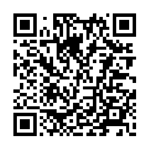 所以……眼前之人最后可能的便是太子赢嵚的人二维码生成