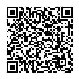 所以……这便是一个新兴公会给予所有玩家的最强烈的视觉和心理冲击二维码生成
