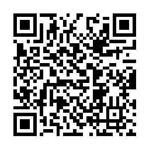 所以……这时候我们必须只能依靠祖国海军的力量二维码生成