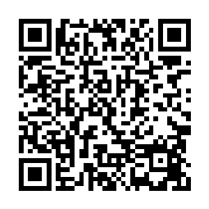 所以…你我之间其实并没有什么利益冲突不是么二维码生成