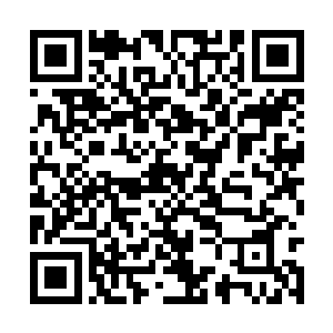 所以一个个也都起哄着喊着赵衷将林烽给变回来了二维码生成