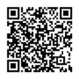 所以一个站在帐篷外面的老猎手就站起来去打开二维码生成