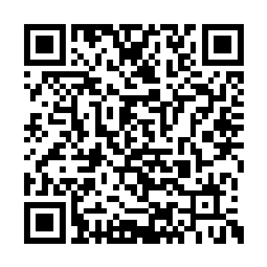 所以一伸手将自己的三张牌一下子掀了个底朝天二维码生成