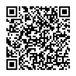 所以一出现占据了那个被哼哈二将以窍中二气诛灭了两道神魂的巨人二维码生成