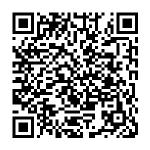 所以一开始问的是很琐碎的小事……但陈长生却觉得一座横亘于天地间的大山二维码生成