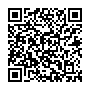 所以一旁的鱼路大尊也不知道两个人在交谈什么二维码生成
