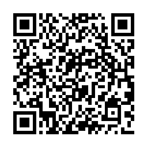 所以一来便是拿出了自己炼制出来的最顶级丹药二维码生成