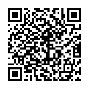 所以一般只有在陆地面积相当大的岛上才有使用龙驹的可能二维码生成
