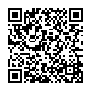 所以一般说来地方上的党政主要领导都不参加这一批二维码生成