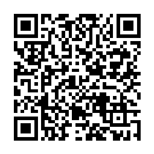 所以一路上有不少的妖兽都想要对杨戬几个人动手二维码生成