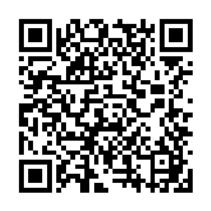 所以下意识地便将对面的豹女归纳到了和自己一样二维码生成