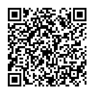 所以不可能采用大规模毁灭的方式来抹杀方舟基金会和红极星本人二维码生成