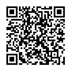 所以不用谁说什么张璐涵大概已经猜出了发生了什么事二维码生成