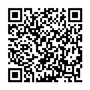 所以专门抽出了一天宝贵的时间来给球员们减压二维码生成