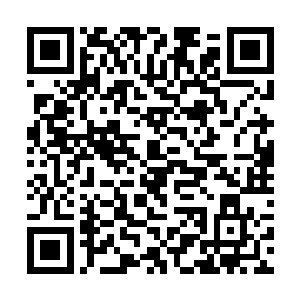 所以两个杀手马上就把目标锁定为飘在高空的洪亚伦二维码生成