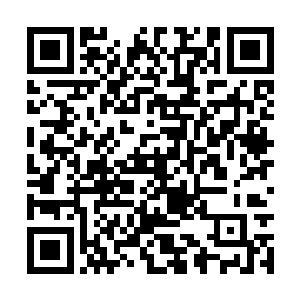 所以两人几次想出钱让两家父母结伴跟团出国旅游二维码生成