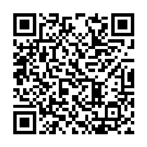 所以主要演员当然认为被投拍长剧是有自己的功劳二维码生成