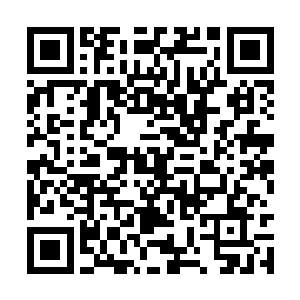 所以久而久之地就认得一些药草和简单的处理方法二维码生成