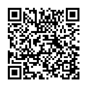 所以之前在小岛上才能描述出她的容貌给老头子听二维码生成