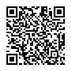 所以之前那人对陈云的些许挑衅所有人都没有放在心上二维码生成