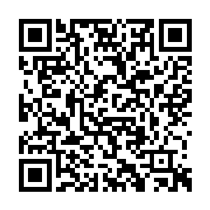 所以乘万里等四个圣级大修士将神识蔓延了出去二维码生成