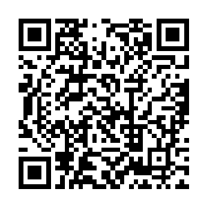 所以也可以在启天的帮助下施展超大范围的灵魂寂灭二维码生成