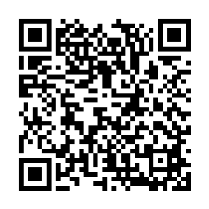 所以也害这些跟着她长大的小伙伴们一起不正常了二维码生成