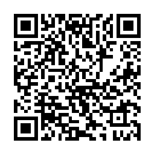 所以也带着狗腿子仗势欺人的得意洋洋表情就过去了二维码生成