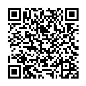 所以也是我们临时将孩子身体里的气息封印的原因二维码生成