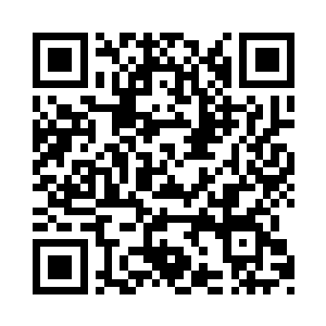 所以也轮不到四大超级势力中的高阶修士出战二维码生成