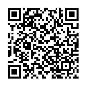 所以仅仅只是摩罗斯这一眼所激射出来的七彩光辉二维码生成