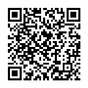 所以仅凭现在霍君白和慕以柔二人前去仍是过于危险二维码生成