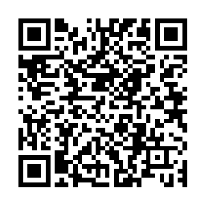 所以今天看着你们从湖里拉着一个全身长满藤子和柳条的人出来二维码生成