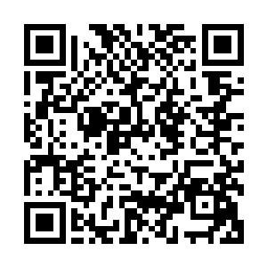 所以今日东黎墨带着白芷璃去藏书阁拿书去不过就是走走过场二维码生成