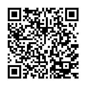 所以今晚等我们那二十万绿衣军到来时就要赶紧安装青铜炮了二维码生成