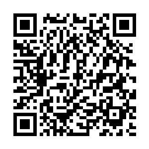 所以从一开始卓凡就知道我在明暗两个元素上卡壳了二维码生成