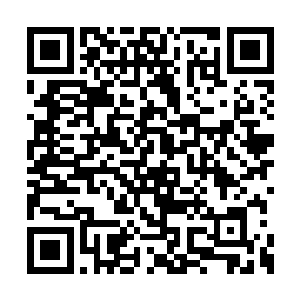 所以从下飞机到现在还没有出现粉丝围堵的现象二维码生成