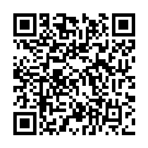 所以从几十年前就精心选取和培育了一枚生命种子二维码生成