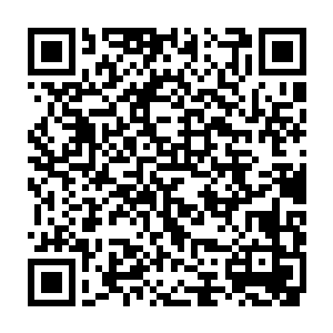 所以从来都对叶璃漠不关心的叶尚书和叶家老太太还是十分难得的招了叶璃说话二维码生成