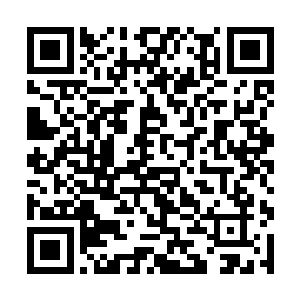 所以从皇上那里看…二姐的孩子想要…的机会并不大二维码生成