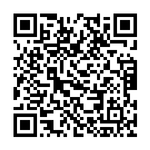 所以他一个人在后方的阴影里闷闷不乐地打着酱油二维码生成