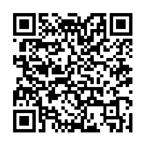 所以他一直想要通过打击丹尘子的气焰来给自己提气二维码生成