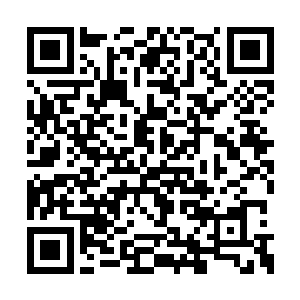 所以他不可能这么快就将那必不可少的药材买光二维码生成