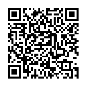 所以他也不会傻到站在那里等待五行鬼和夏天拼个你死我活二维码生成